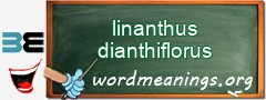 WordMeaning blackboard for linanthus dianthiflorus
